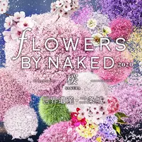 FLOWERS BY NAKED 2020 −桜− 世界遺産・二条城