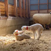 生まれた直後
