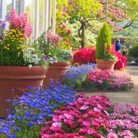 百花繚乱の園内