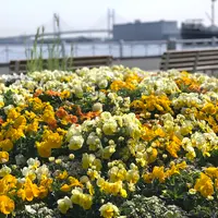 ガーデンネックレス横浜2020 イメージ