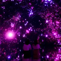 Floating in the Falling Universe of Flowers