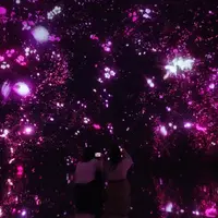 Floating in the Falling Universe of Flowers
