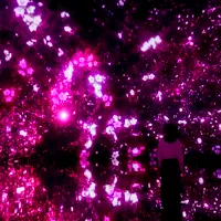 Floating in the Falling Universe of Flowers