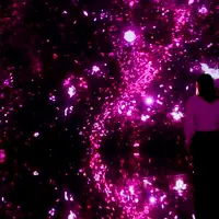 Floating in the Falling Universe of Flowers