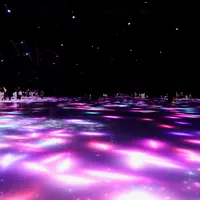 人と共に踊る鯉によって描かれる水面のドローイング - Infinity