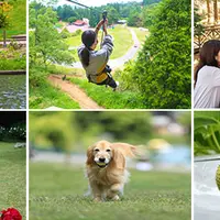 六甲山カンツリーハウス 園内の様子