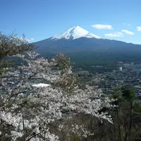 春