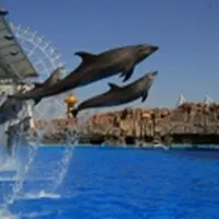 名古屋港水族館