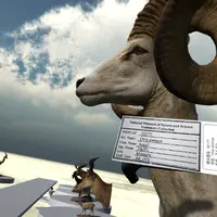 VRゴーグルで見たアルガリの剥製のイメージ。近づいてみると標本ラベルが表示される。（国立科学博物館）