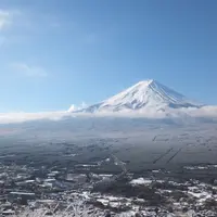 冬