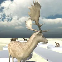 広大なバーチャル空間に24体の動物剥製が展示されている。（国立科学博物館）