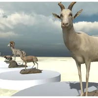 THE WILDLIFE MUSEUMのバーチャル展示室（国立科学博物館）