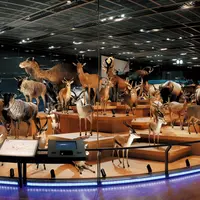 国立科学博物館 地球館３階展示室「大地を駆ける生命」
