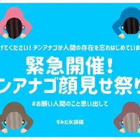「チンアナゴ顔見せ祭り！」イメージ