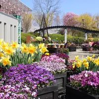 季節の花々が彩るコミュニティ広場（草津市立水生植物公園みずの森）