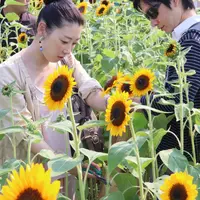 花摘み体験の様子