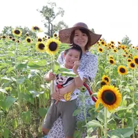 花摘み体験はお子様にも大人気