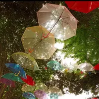 空に広がる傘の森