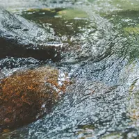 長い年月をかけて育まれた新鮮な水