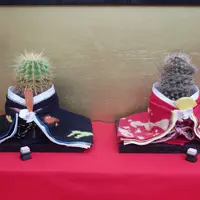 お内裏様とお雛様