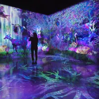 teamLab Forest