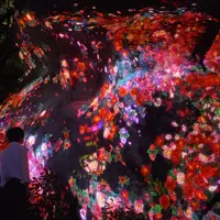 増殖する生命の巨石／Ever Blossoming Life Rock