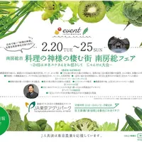 料理の神様が棲む街　南房総フェア