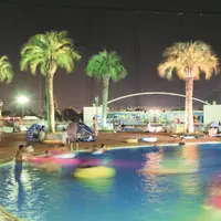 ナイトプール