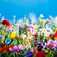 earthly flowers, heavenly colors（2017）（c）mika ninagawa, Courtesy of Tomio Koyama Gallery