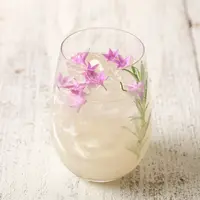 エルダーフラワーガーデン