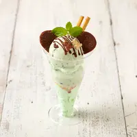 究極のチョコミントアイス
