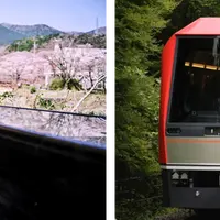 RAIL TRAVEL（レイルトラベル）キャンペーン