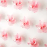 SAKURA KAZAGURUMA-WALL