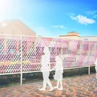 SAKURA KAZAGURUMA-WALL