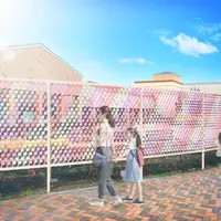 SAKURA KAZAGURUMA-WALL