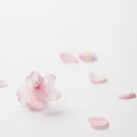 SAKURA KAZAGURUMA-WALL