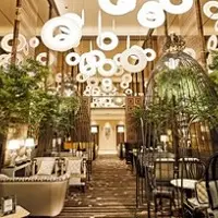 Cafe & Dining ZelkovA