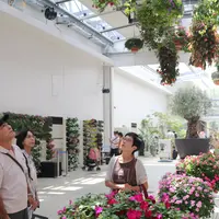 「敬老の日キャンペーン」