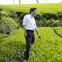 茶畑