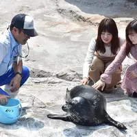 ふれあいラグーン体験プログラム
