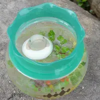 オオサンショウウオ鴨川ソーダ（イメージ）
