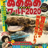 イベントポスター（イメージ）