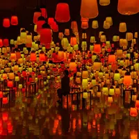 森の中の、呼応するランプの森とスパイラル - ワンストローク、山の紅葉