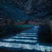 北西階段 イメージ