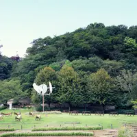 神戸を見下ろす芝生広場は最適なピクニックスポット