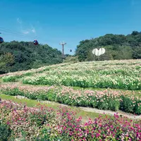 神戸布引ハーブ園／ロープウェイ