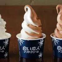 白い恋人ソフトクリーム