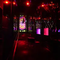 「クラゲとハロウィン」昼・夜の照明（イメージ）