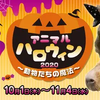 アニマルハロウィン2020～動物たちの魔法～