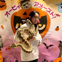 “使い魔”大蛇の「撮影会」